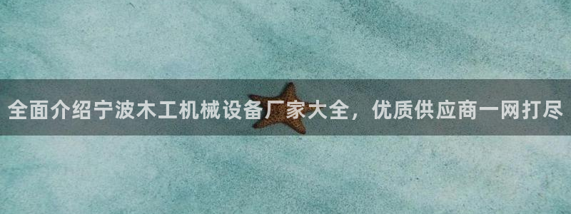 杏盛乐岳35994誓：全面介绍宁波木工机械设备厂家大全，优质供应商一网打尽