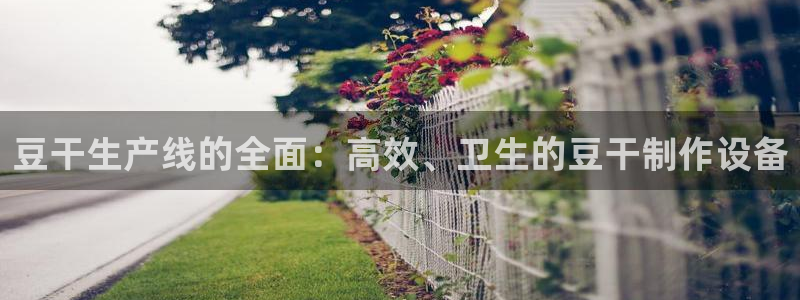 杏盛平台代理注册：豆干生产线的全面：高效、卫生的豆干制作设备