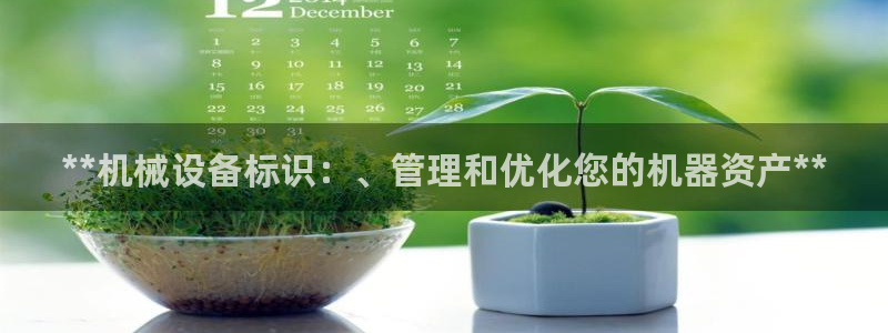 杏盛主管：**机械设备标识：、管理和优化您的机器资产**