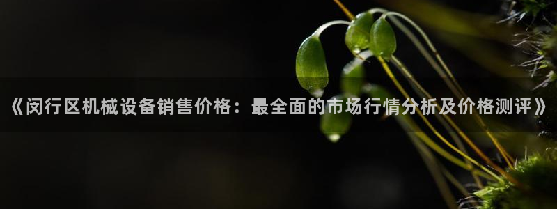 杏盛平台官网：《闵行区机械设备销售价格：最全面的市场行情分析及价格测评》