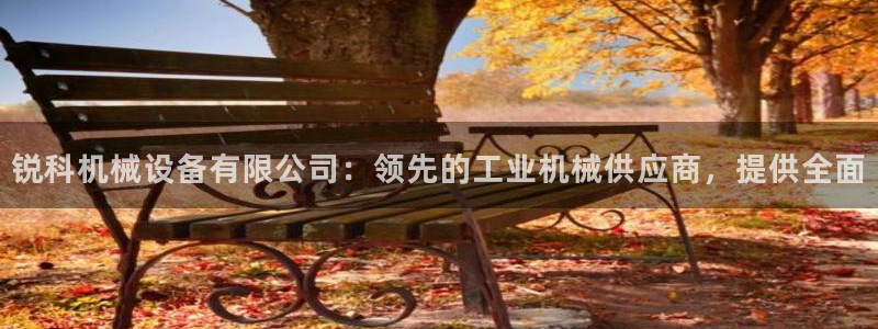 杏盛官网：锐科机械设备有限公司：领先的工业机械供应商，提供全面
