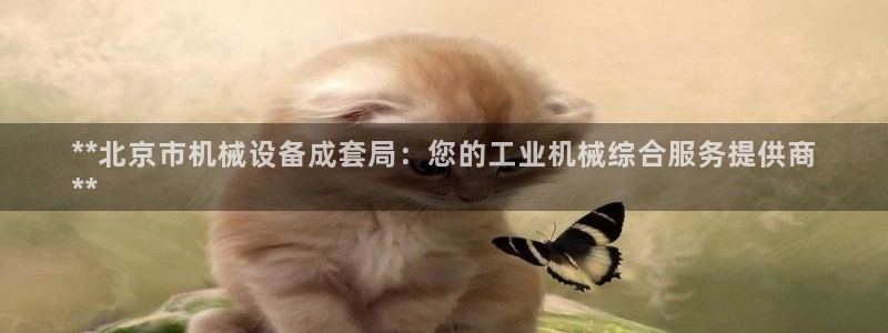 杏盛平台代理注册