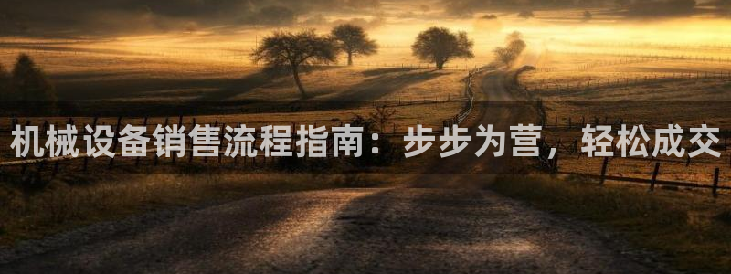 杏盛开户地址：机械设备销售流程指南：步步为营，轻松成交