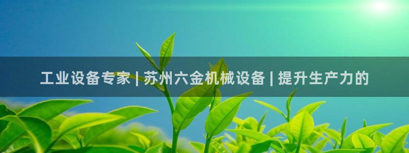 杏盛官网：工业设备专家 | 苏州六金机械设备 | 提升生产力的