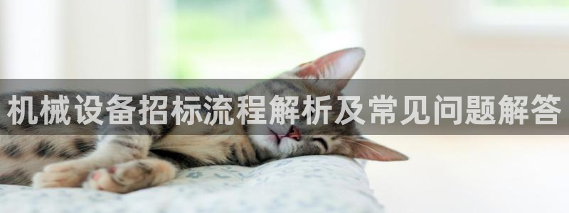 杏盛注册登录：机械设备招标流程解析及常见问题解答