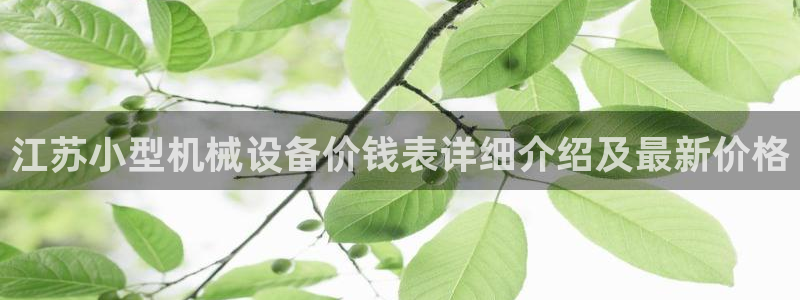 杏盛平台上级：江苏小型机械设备价钱表详细