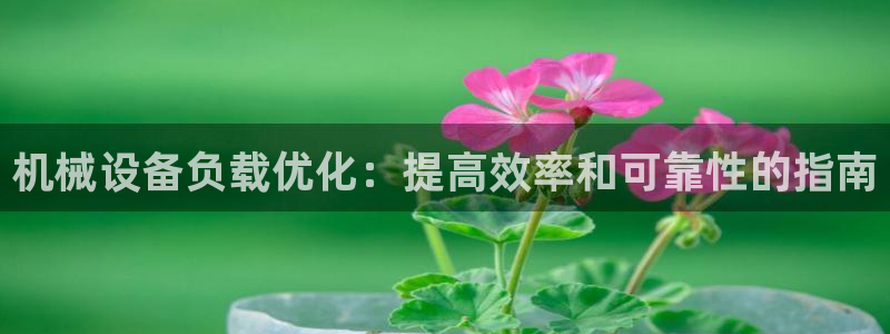 杏盛东24 35 53：机械设备负载优化：提高效率和可靠性的指南
