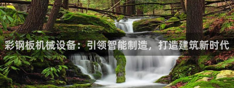 杏盛平台官网注册登录：彩钢板机械设备：引
