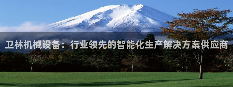 杏盛平台：卫林机械设备：行业领先的智能化生产解决方案供应商