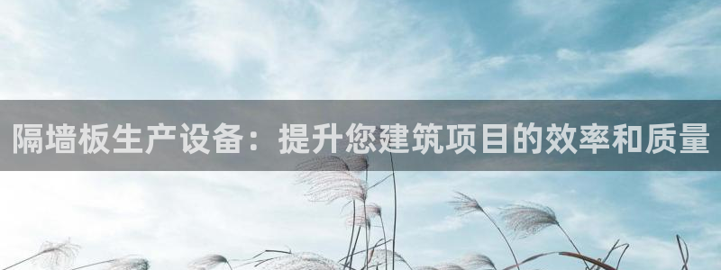 杏盛注册登录：隔墙板生产设备：提升您建筑项目的效率和质量