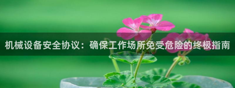杏盛平台注册登录：机械设备安全协议：确保工作场所免受危险的终极指南