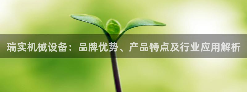 杏盛平台登录：瑞实机械设备：品牌优势、产