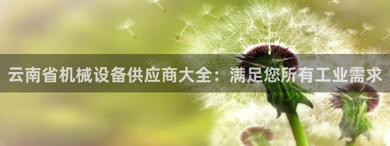 杏盛平台：云南省机械设备供应商大全：满足您所有工业需求
