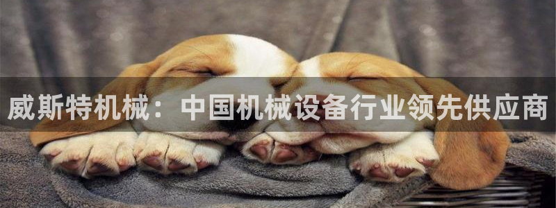 杏盛平台代理：威斯特机械：中国机械设备行业领先供应商