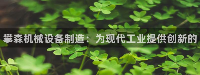 杏盛平台登录：攀森机械设备制造：为现代工业提供创新的