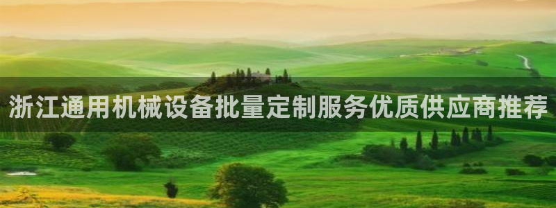 杏盛平台代理：浙江通用机械设备批量定制服务优质供应商推荐