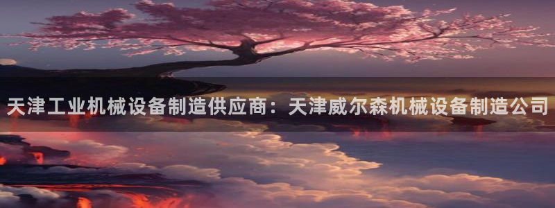 杏盛平台登录：天津工业机械设备制造供应商：天津威尔森机械设备制造公司