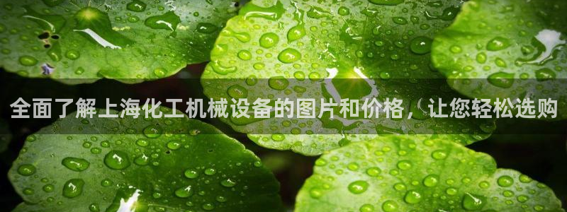 杏盛平台官网注册：全面了解上海化工机械设备的图片和价格，让您轻松选购
